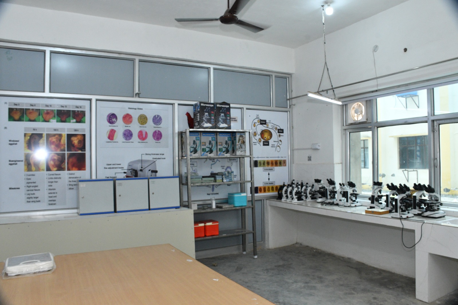 Lab Facility